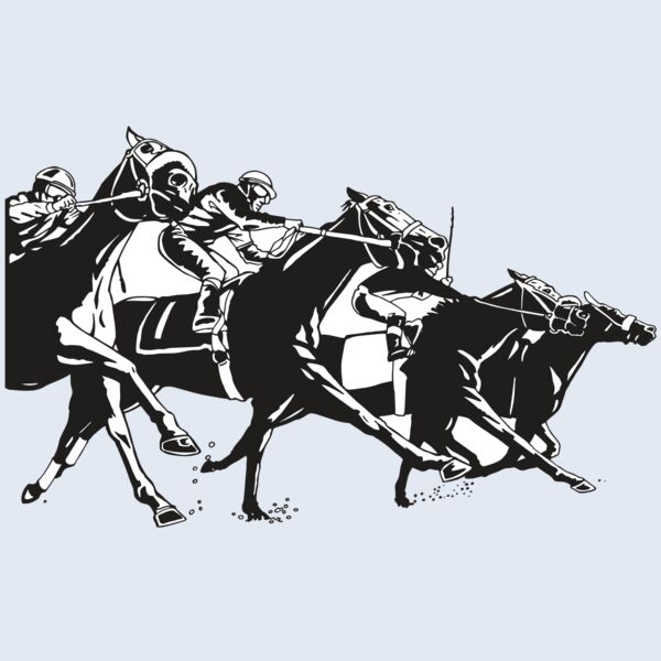 AR EQUEST 13 RC Thumbnail