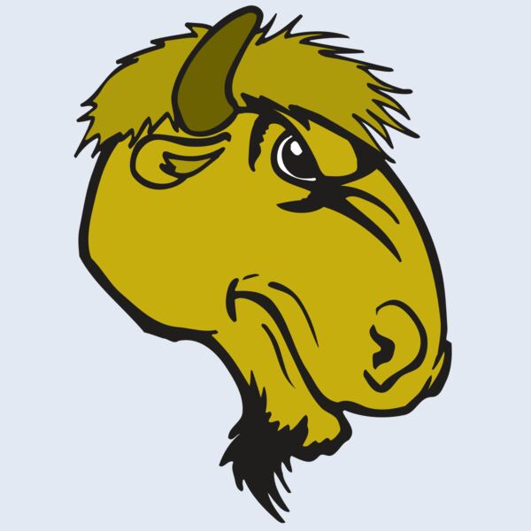 AR BUFFALO 14 RC Thumbnail