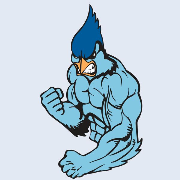 BAW BLUEJAY 13 RC Thumbnail