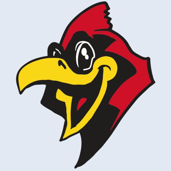 AR CARDINAL 36 RC Thumbnail