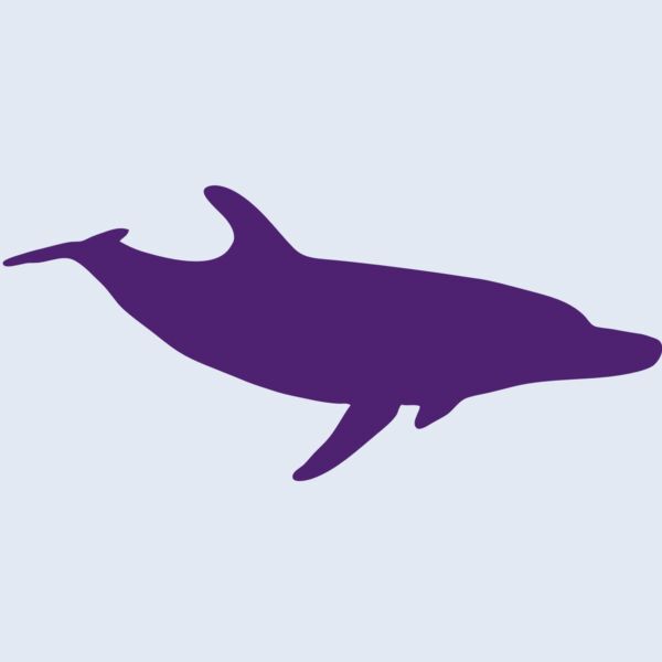 AR DOLPIN 12 RC Thumbnail