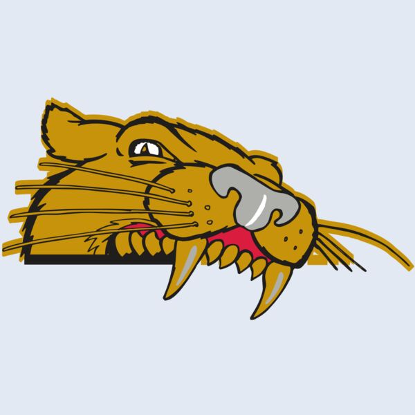 AR COUGAR 73 RC Thumbnail