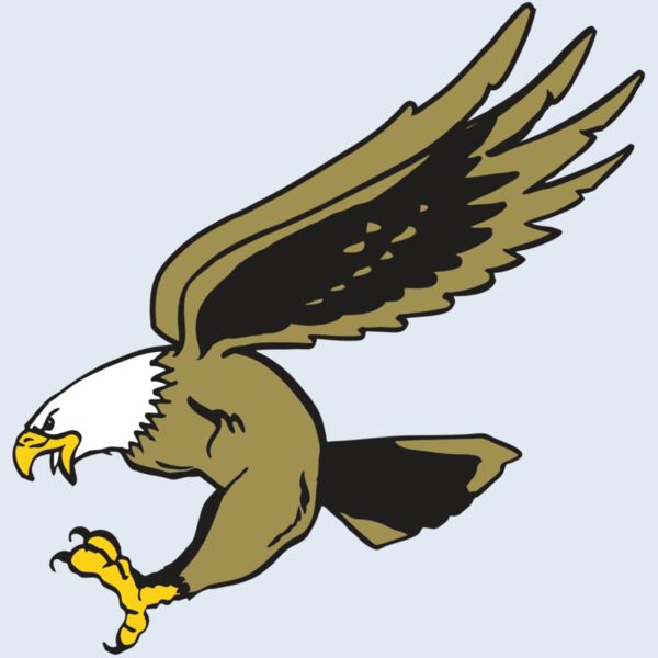 AR EAGLE 23 RC Thumbnail