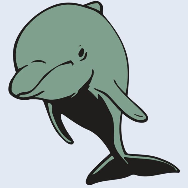 AR DOLPIN 11 RC Thumbnail