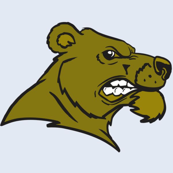 AR BEAR 11 RC Thumbnail