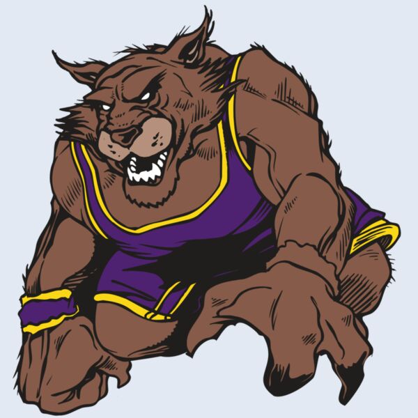 AR WILDCAT 23 RC Thumbnail