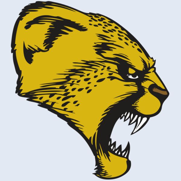 BAW CHEETAH 13 RC Thumbnail