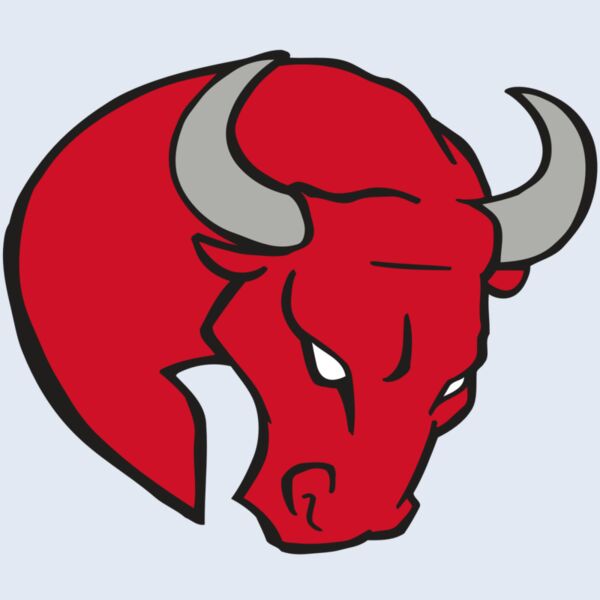 AR BULL 24 RC Thumbnail