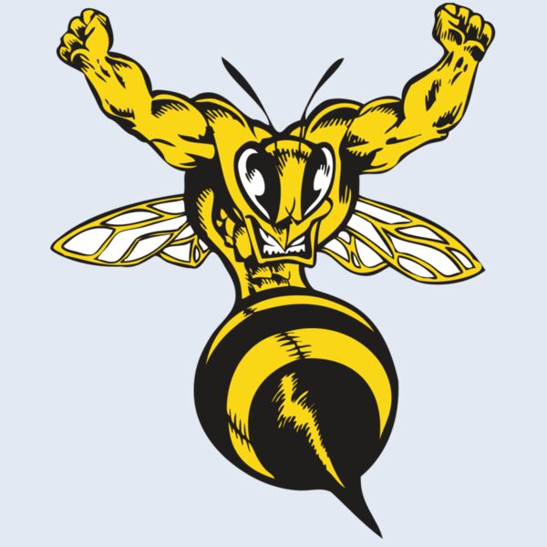 BAW BEE 04 RC Thumbnail