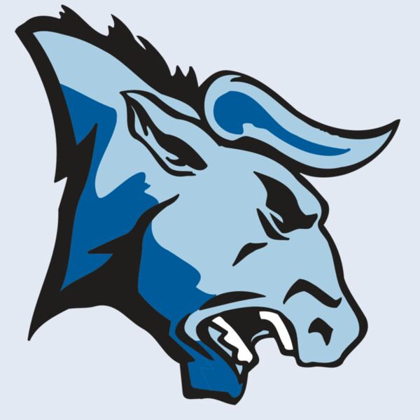 AR BULL 20 RC Thumbnail