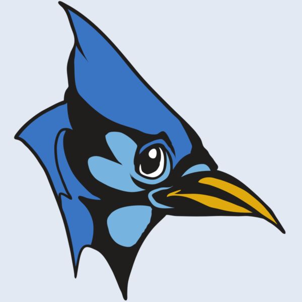 AR31 BLUEJAY 03 RQC Thumbnail