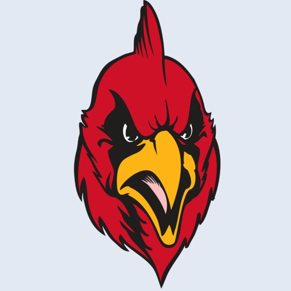 BAW CARDINAL 11 RC Thumbnail