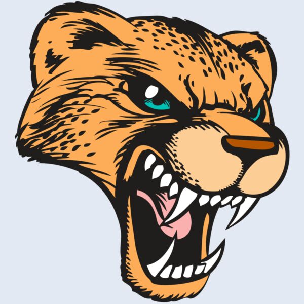 BAW CHEETAH 19 RC Thumbnail