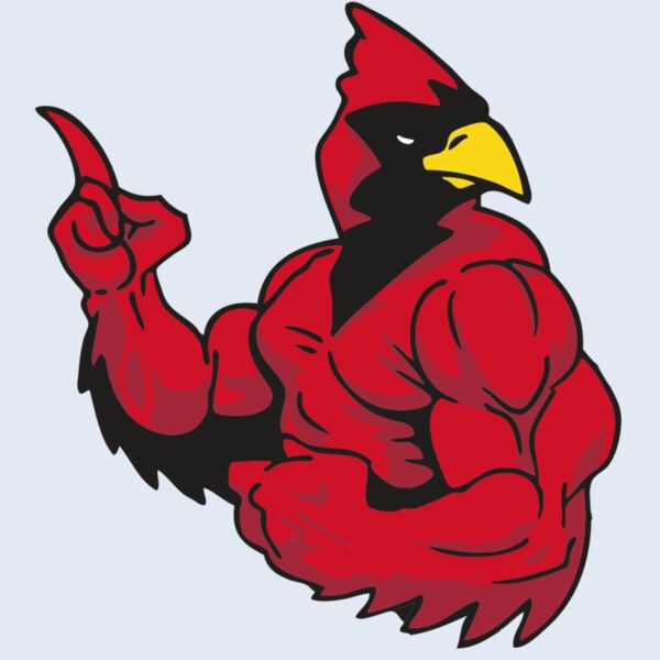 AR CARDINAL 28 RC Thumbnail