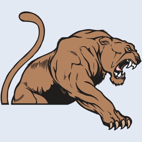 AR COUGAR 55 RC Thumbnail