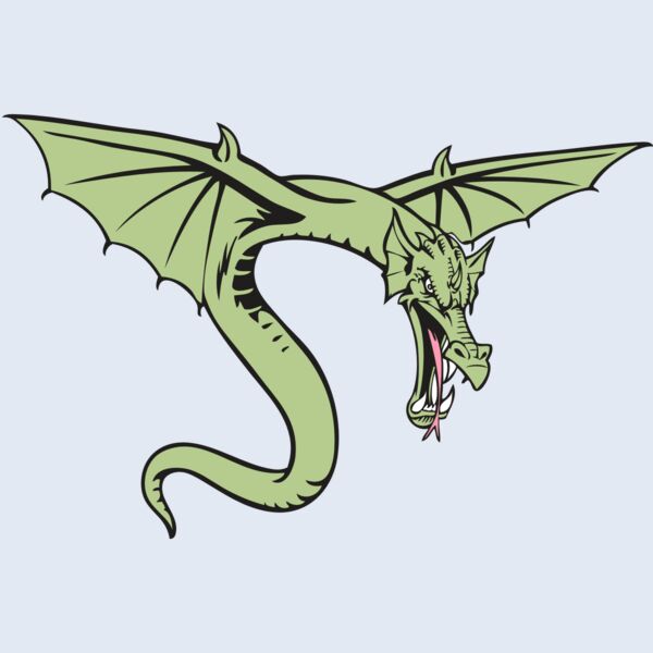 BAW DRAGON 08 RC Thumbnail