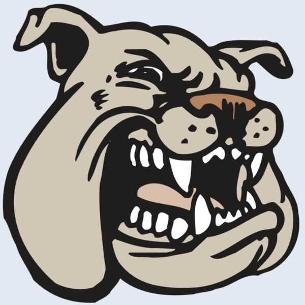 AR BDOG 38 RC Thumbnail