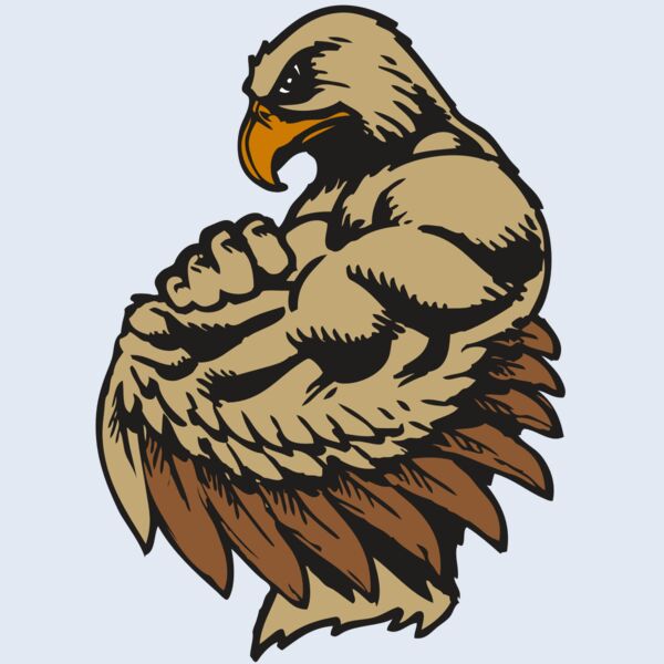 BAW HWK FLCN 02 RC Thumbnail