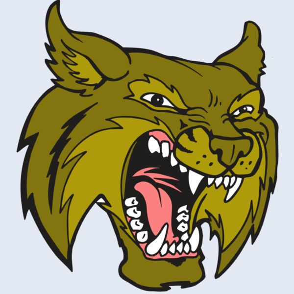 AR5 BOBCAT 20 RQC Thumbnail