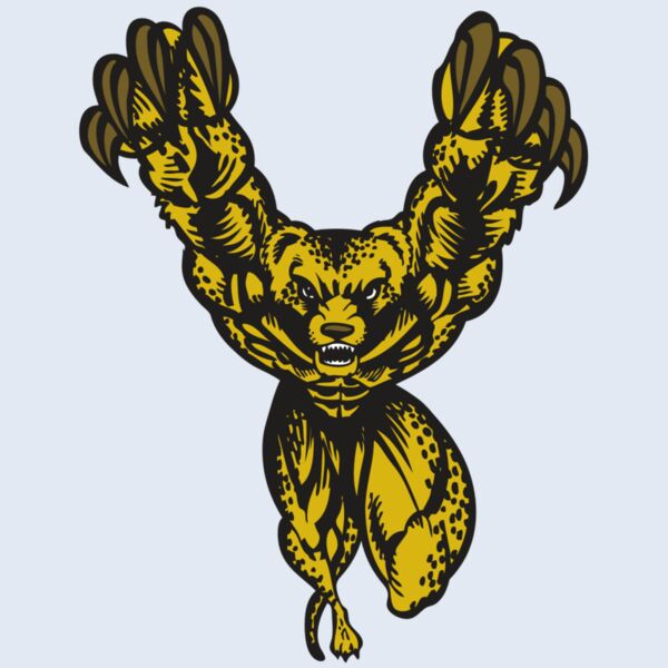 BAW CHEETAH 09 RC Thumbnail