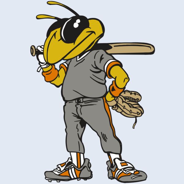 AR5 BEE 17 RQC Thumbnail