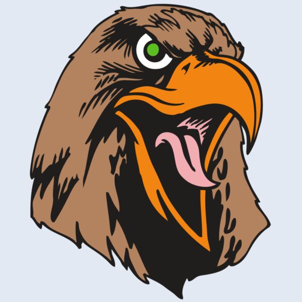 BAW HWK FLCN 01 RC Thumbnail