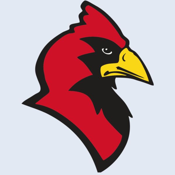 AR CARDINAL 20 RC Thumbnail