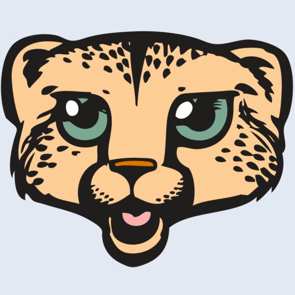 BAW CHEETAH 18 RC Thumbnail