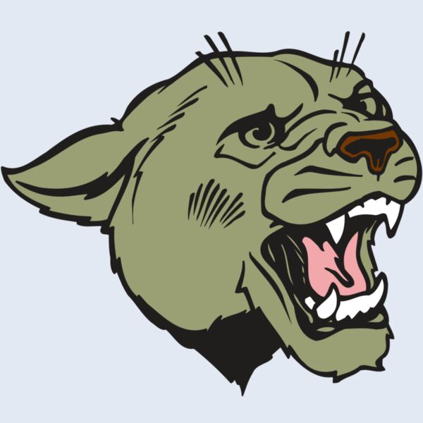 AR COUGAR 40 RC Thumbnail