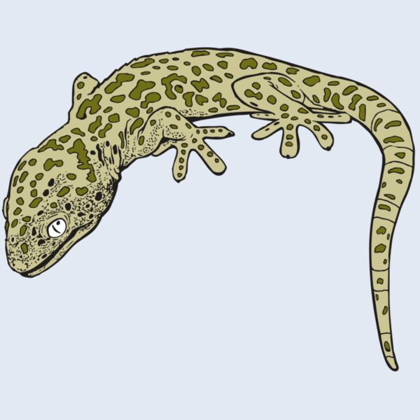 AR GEKO 19 RC Thumbnail