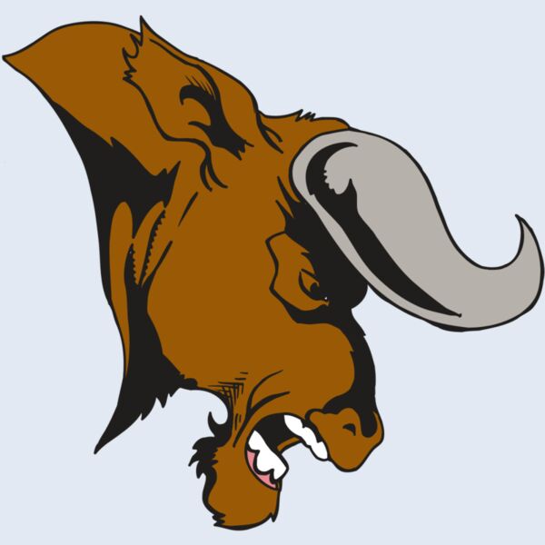 AR5 BULL 07 RQC Thumbnail