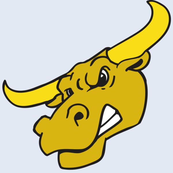 AR BULL 29 RC Thumbnail