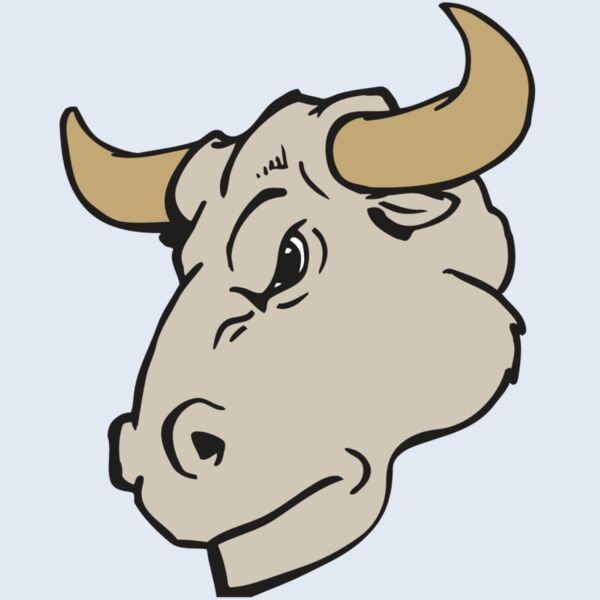 AR BULL 25 RC Thumbnail