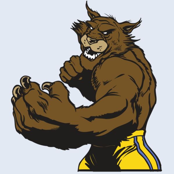 AR WILDCAT 48 RC Thumbnail