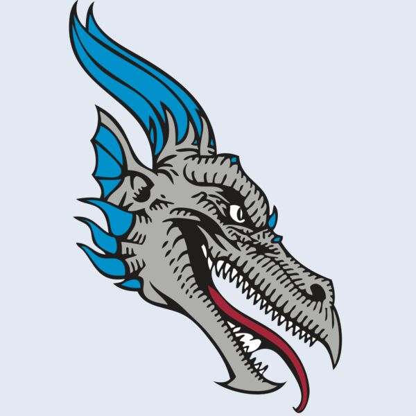 BAW DRAGON 07 RC Thumbnail