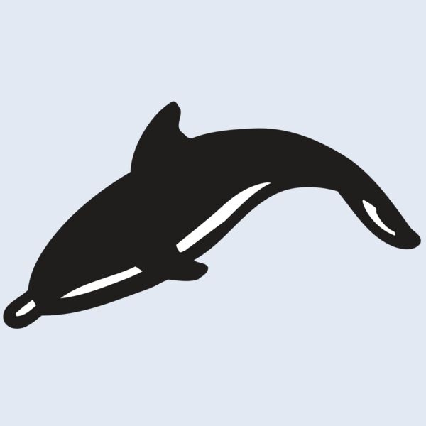 AR DOLPIN 16 RC Thumbnail