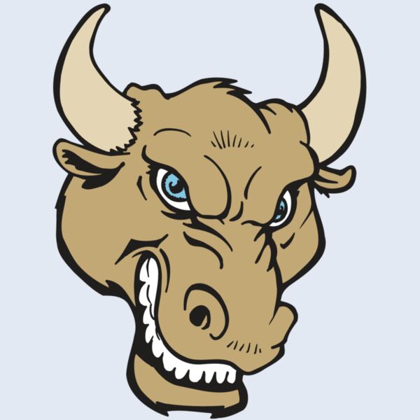 AR5 BULL 13 RQC Thumbnail