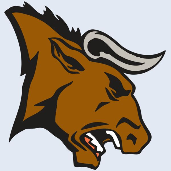 AR BULL 38 RC Thumbnail