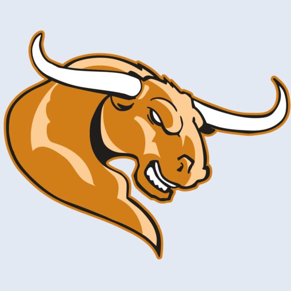 AR BULL 14 RC Thumbnail