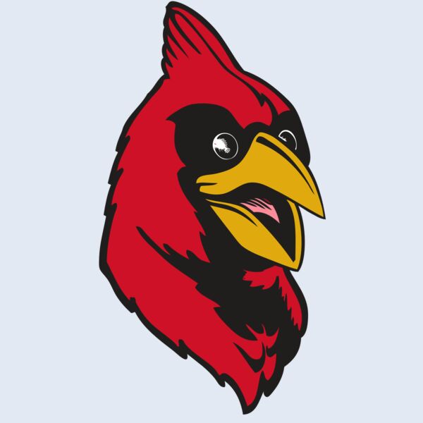 BAW CARDINAL 05 RC Thumbnail