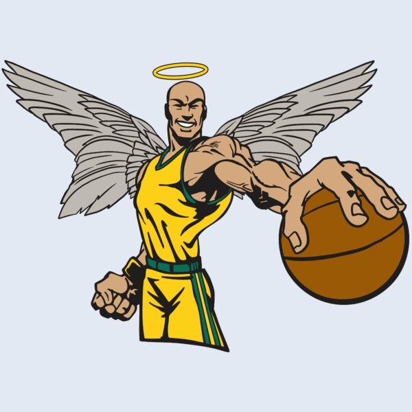 AR17 ANGEL BSKT 06 RQC Thumbnail