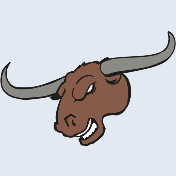 AR BULL 10 RC Thumbnail