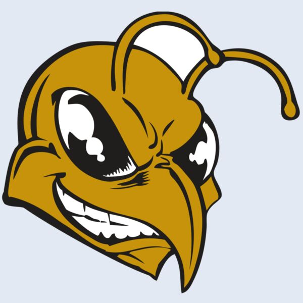 BAW BEE 18 RC Thumbnail