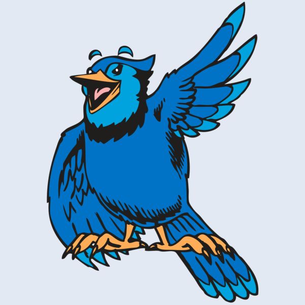 BAW BLUEJAY 06 RC Thumbnail