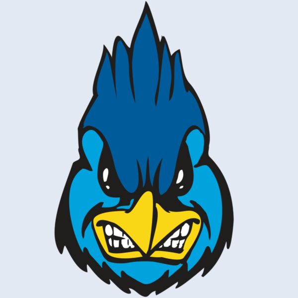 BAW BLUEJAY 02 RC Thumbnail