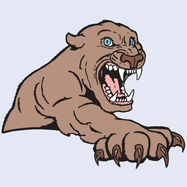 AR5 COUGAR 20 RQC Thumbnail