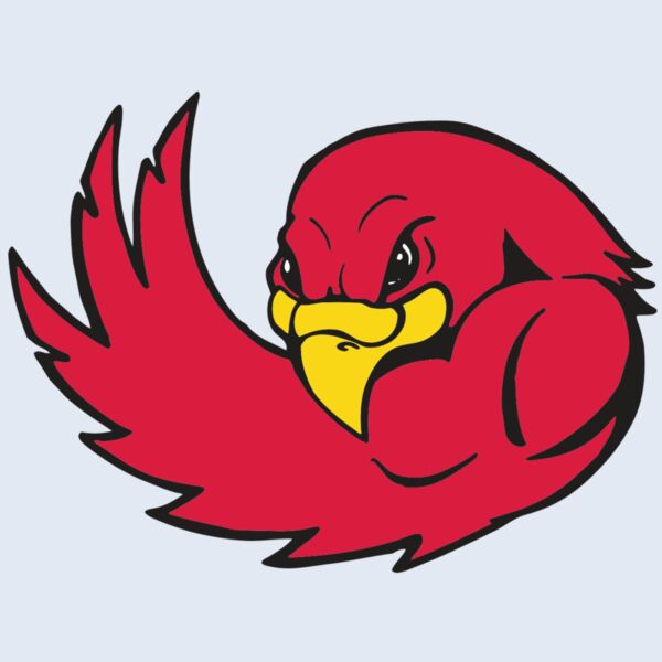 AR FALCON 18 RC Thumbnail