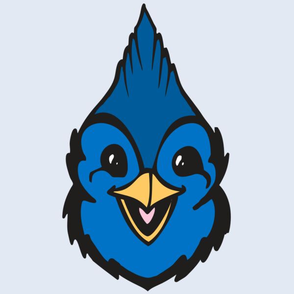 BAW BLUEJAY 19 RC Thumbnail