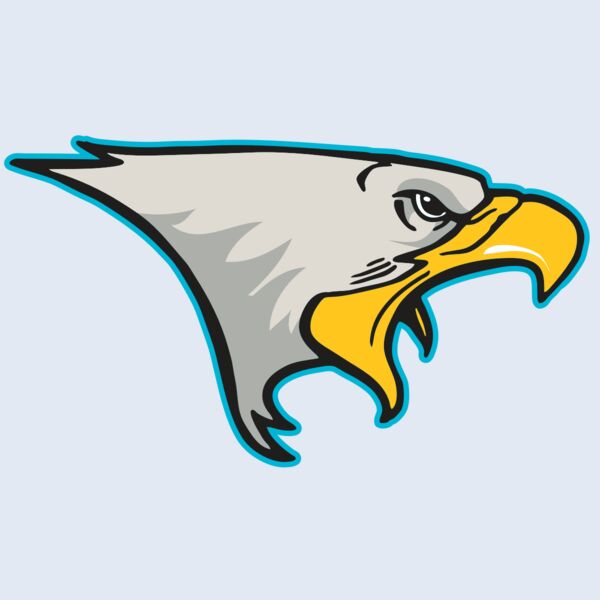 AR14 EAGLE FBALL 01 RQC Thumbnail