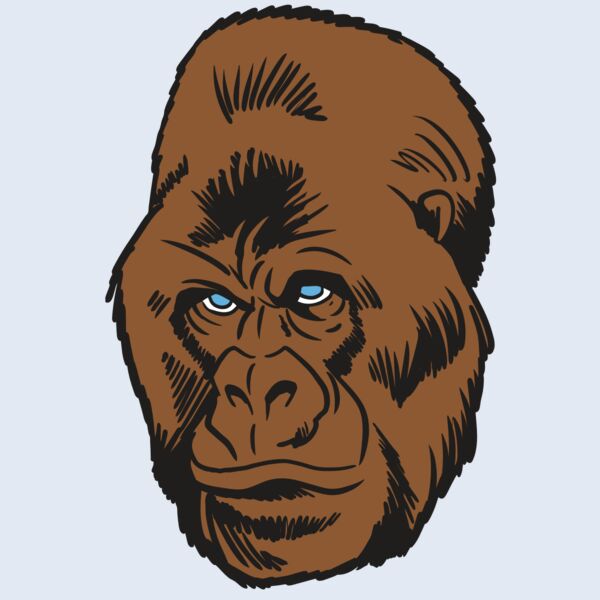 AR19 GORILLA 02 RQC Thumbnail